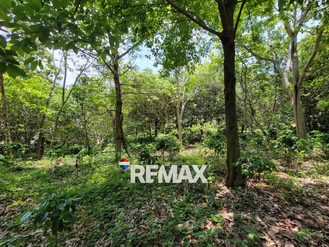 SANTA ANA, TERRENO EN VENTA. 44 MZ. A 4 KM DE PRICESMART - Imagen 2
