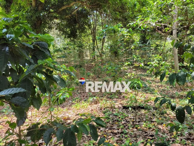SANTA ANA, TERRENO EN VENTA. 44 MZ. A 4 KM DE PRICESMART - Imagen 4