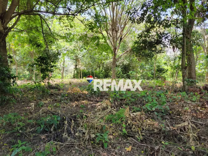 SANTA ANA, TERRENO EN VENTA. 44 MZ. A 4 KM DE PRICESMART - Imagen 8