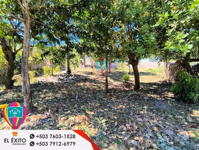 VENDO 2 LOTES A 5 MINUTOS DEL PUERTO DE LA LIBERYAD