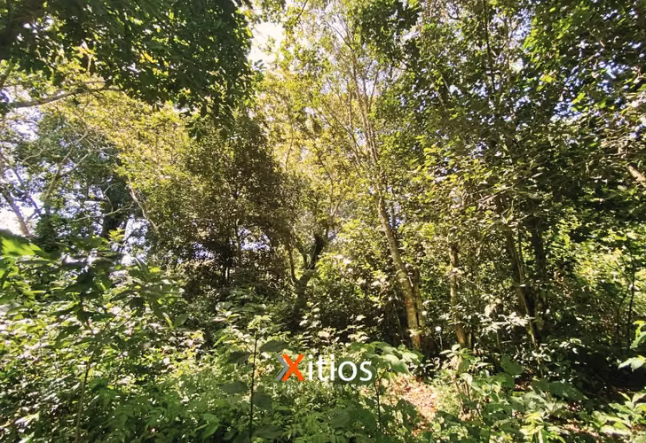 Venta de Terreno en Apaneca