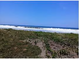 TERRENO 16.8 MANZANAS EN LA PLAYA EN VENTA PARA LOTIFICAR - Imagen 5