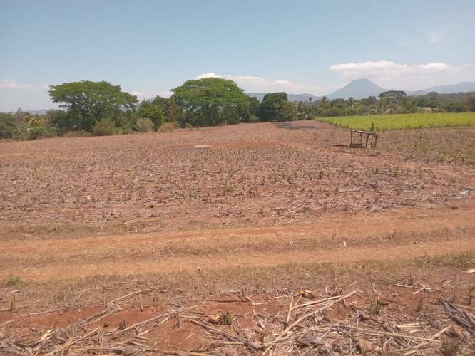VENTA TERRENO 400 MANZANAS JIQUILISCO USULUTAN