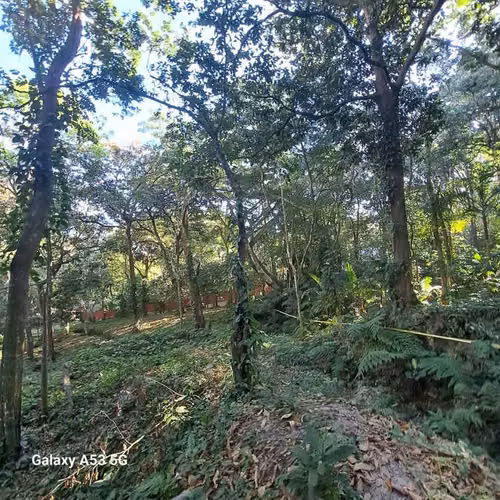 Terreno en Venta – Los Planes de Renderos, San Salvador - Imagen 7