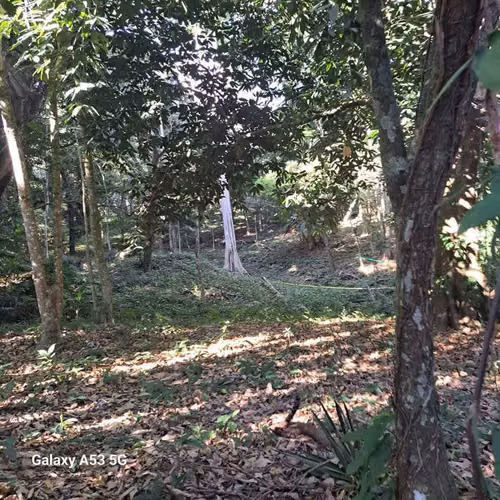Terreno en Venta – Los Planes de Renderos, San Salvador - Imagen 6
