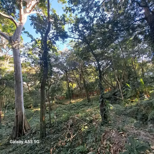 Terreno en Venta – Los Planes de Renderos, San Salvador - Imagen 8