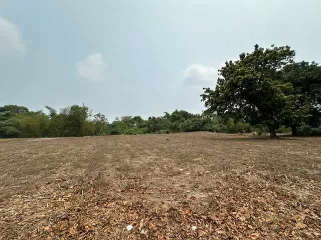 Terreno en Venta en Nejapa - 8 manzanas