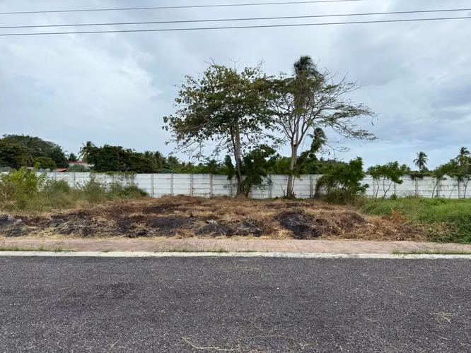 TERRENOS EN VENTA EN LA COSTA DEL SOL/GODEN LAKE - Imagen 6