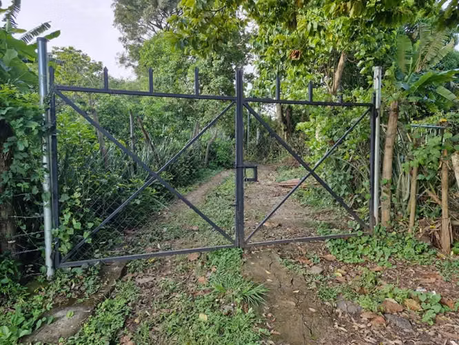 TERRENO CON PRODUCCION EN VENTA, CUIDAD ARCE - Imagen 8