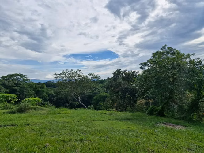 TERRENO CON PRODUCCION EN VENTA, CUIDAD ARCE - Imagen 3