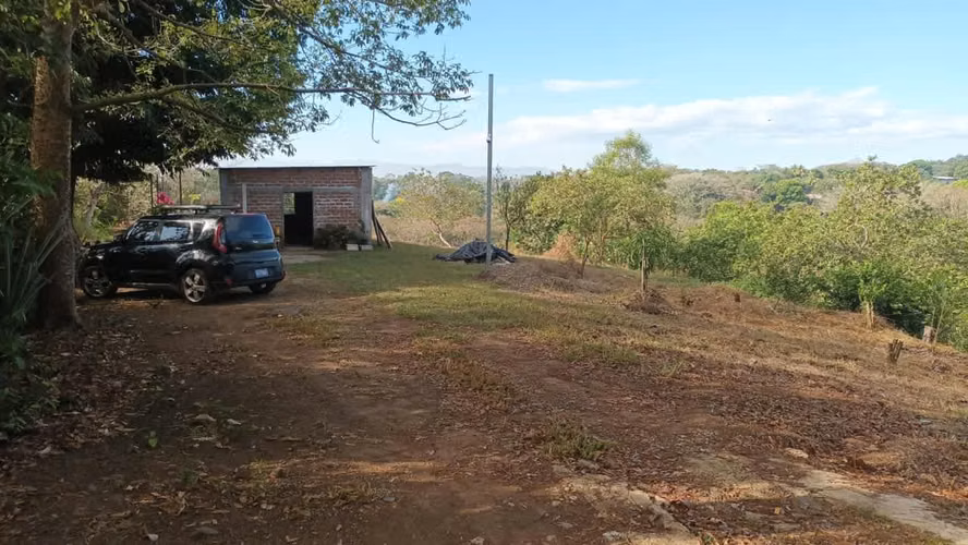 TERRENO CON PRODUCCION EN VENTA, CUIDAD ARCE - Imagen 2