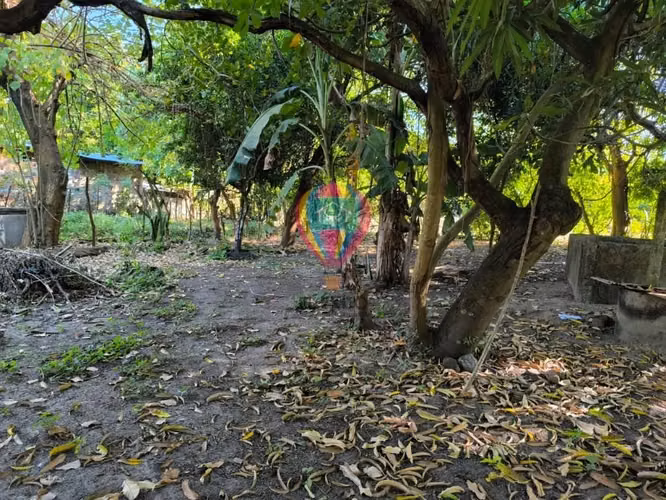 VENDO 2 LOTES EN CANGREJERA, LA LIBERTAD - Imagen 6