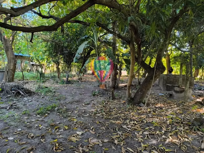VENDO 2 LOTES EN CANGREJERA, LA LIBERTAD - Imagen 2