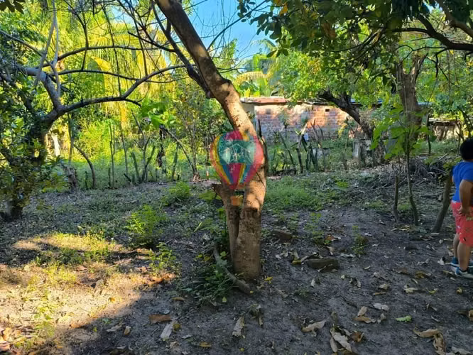 VENDO 2 LOTES EN CANGREJERA, LA LIBERTAD - Imagen 4