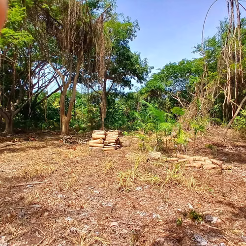 Venta Terreno Playa Las Veraneras | Topografía Plana | $230,000 - Imagen 3