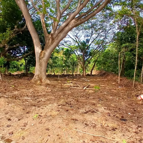 Venta Terreno Playa Las Veraneras | Topografía Plana | $230,000 - Imagen 8
