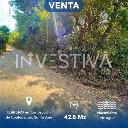 TERRENO EN VENTA EN SANTA ANA. - Imagen 3
