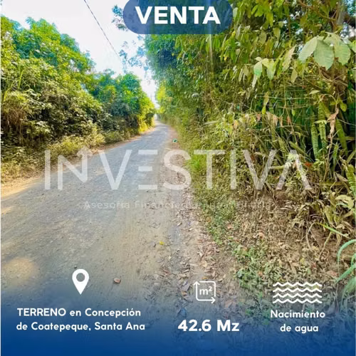 TERRENO EN VENTA EN SANTA ANA. - Imagen 2