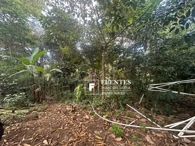 VENTA FINCA DE CAFÉ AYUTEPEQUE SANTA ANA 90 MANZANAS