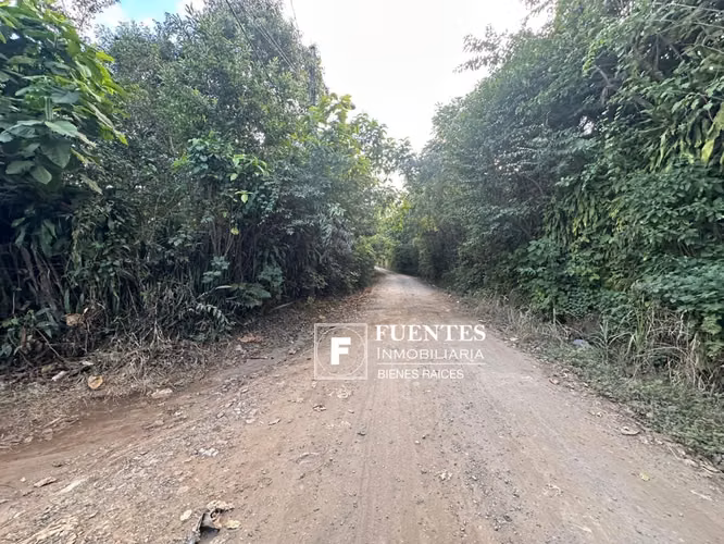 VENTA FINCA DE CAFÉ AYUTEPEQUE SANTA ANA 90 MANZANAS
