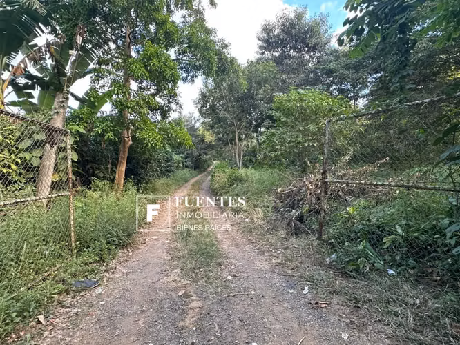VENTA FINCA DE CAFÉ AYUTEPEQUE SANTA ANA 90 MANZANAS
