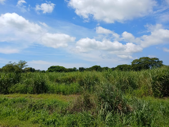 TERRENO  EN VENTA ZONA COCINA DE VUELOS AEROPUERTO COMALAPA - Imagen 2