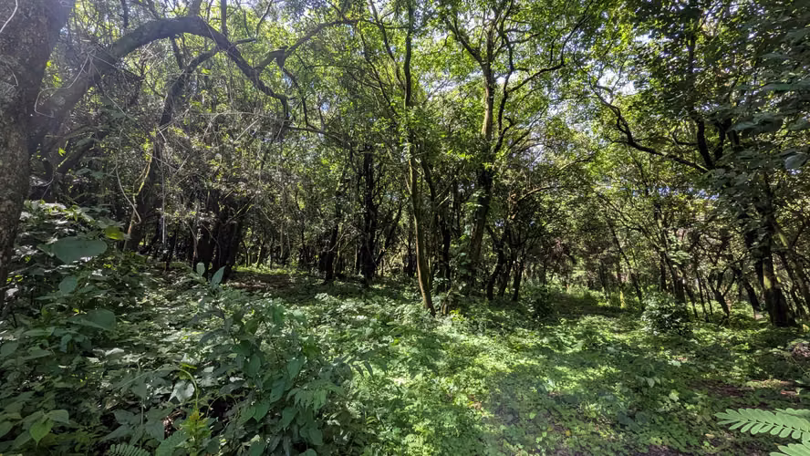 TERRENO EN VENTA EN CERRO VERDE