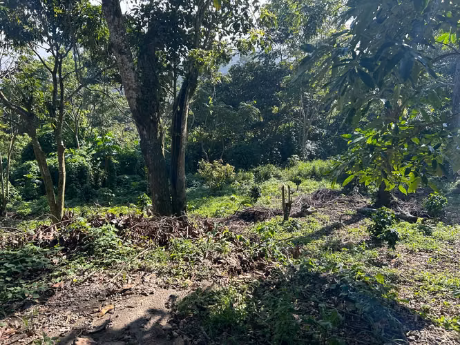 Condominio Pontresina - Terreno en venta en Comasagua #3848 - Imagen 10
