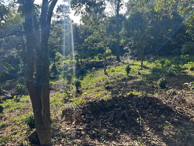 Condominio Pontresina - Terreno en venta en Comasagua #3848 - Imagen 11