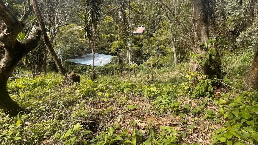 Venta de terreno residencial en Panchimalco