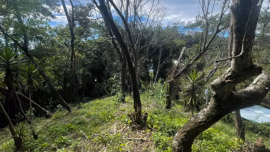 Venta de terreno residencial en Panchimalco