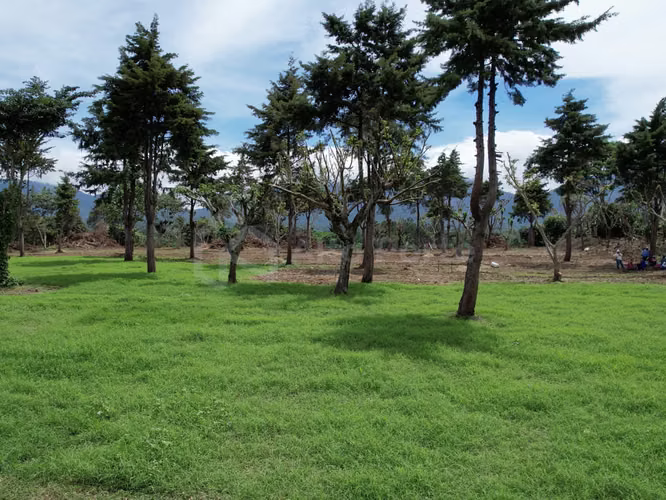 Lotes en venta en Juayúa (Residencial exclusivo) - Imagen 17