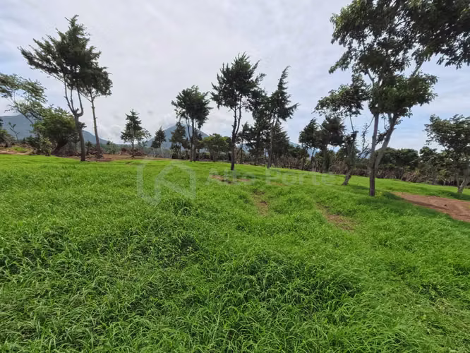 Lotes en venta en Juayúa (Residencial exclusivo) - Imagen 2