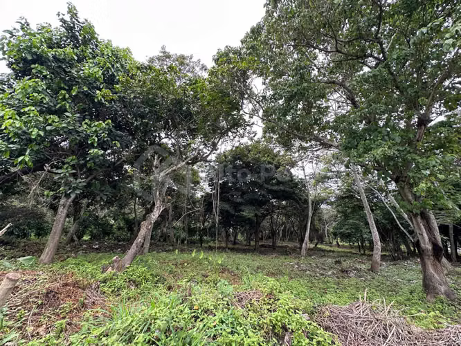 Terreno en Venta – Nuevo Cuscatlán