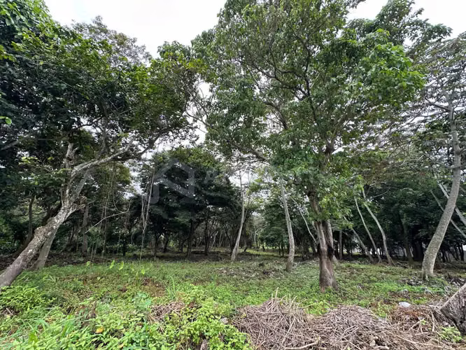 Terreno en Venta – Nuevo Cuscatlán
