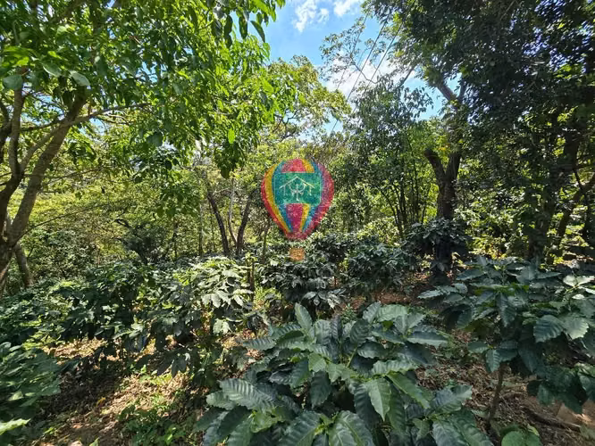 VENDO 1 MANZANA EN COMASAGUA, LA LIBERTAD CON VISTA A LAS MONTAÑAS - Imagen 8