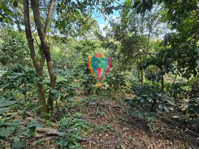 VENDO 1 MANZANA EN COMASAGUA, LA LIBERTAD CON VISTA A LAS MONTAÑAS - Imagen 6