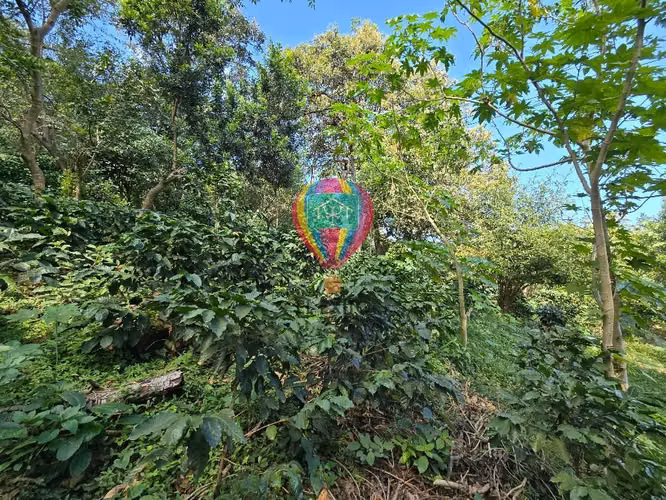 VENDO 1 MANZANA EN COMASAGUA, LA LIBERTAD CON VISTA A LAS MONTAÑAS - Imagen 14