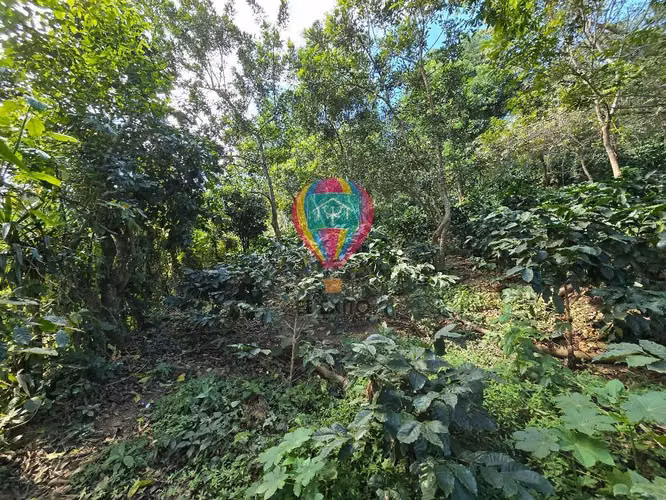 VENDO 1 MANZANA EN COMASAGUA, LA LIBERTAD CON VISTA A LAS MONTAÑAS - Imagen 12