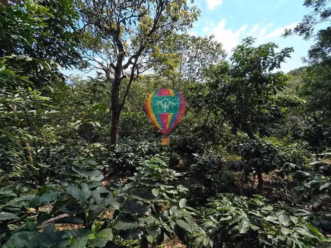 VENDO 1 MANZANA EN COMASAGUA, LA LIBERTAD CON VISTA A LAS MONTAÑAS - Imagen 7