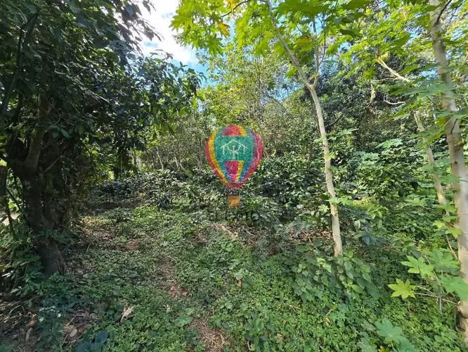 VENDO 1 MANZANA EN COMASAGUA, LA LIBERTAD CON VISTA A LAS MONTAÑAS - Imagen 16