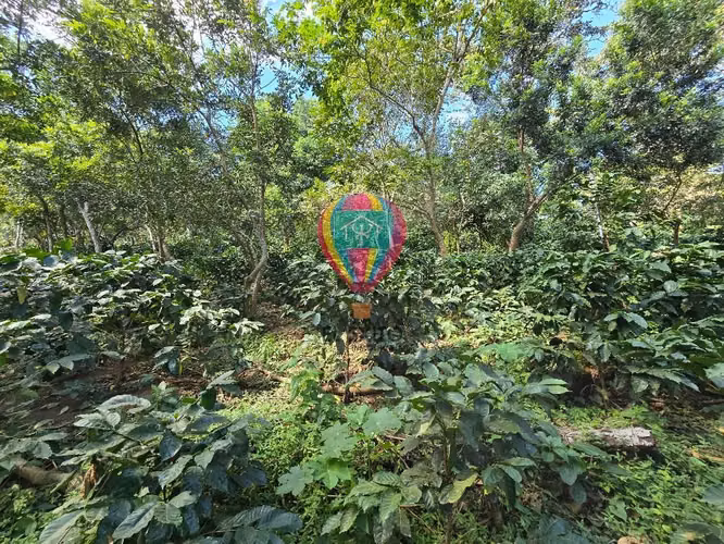 VENDO 1 MANZANA EN COMASAGUA, LA LIBERTAD CON VISTA A LAS MONTAÑAS - Imagen 11