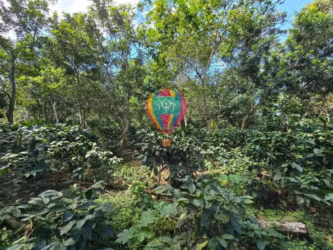 VENDO 1 MANZANA EN COMASAGUA, LA LIBERTAD CON VISTA A LAS MONTAÑAS - Imagen 15