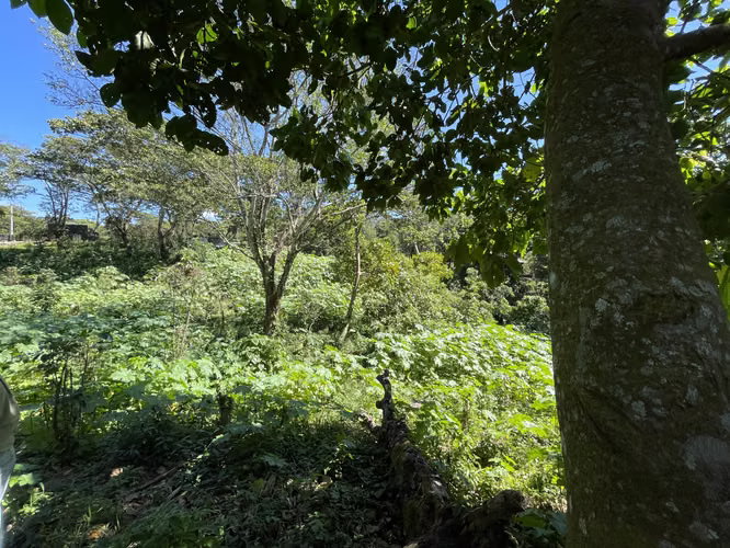 Terreno de esquina 2.3 MZ, carretera a Comasagua,  5 min CC Las Palmas