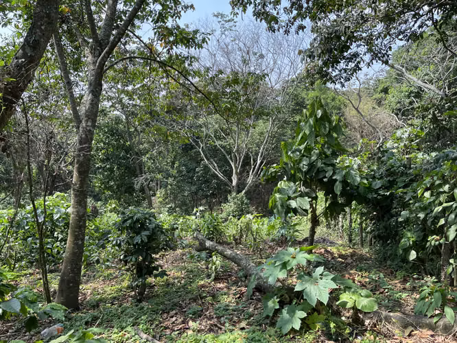 Terreno de esquina 2.3 MZ, carretera a Comasagua,  5 min CC Las Palmas