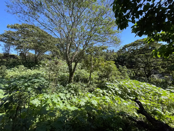 Terreno de esquina 2.3 MZ, carretera a Comasagua,  5 min CC Las Palmas