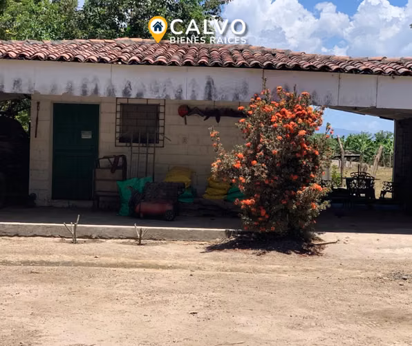 EN VENTA PRECIOSA PROPIEDAD AGRICOLA SAN LUIS TALPA, LA PAZ - Imagen 10