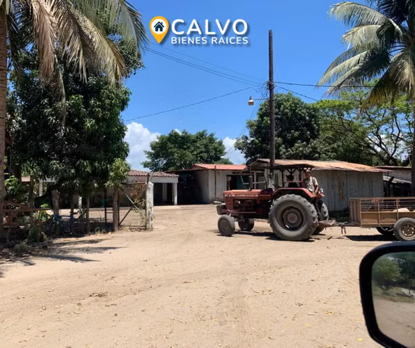 EN VENTA PRECIOSA PROPIEDAD AGRICOLA SAN LUIS TALPA, LA PAZ - Imagen 2