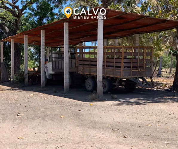 EN VENTA PRECIOSA PROPIEDAD AGRICOLA SAN LUIS TALPA, LA PAZ - Imagen 9