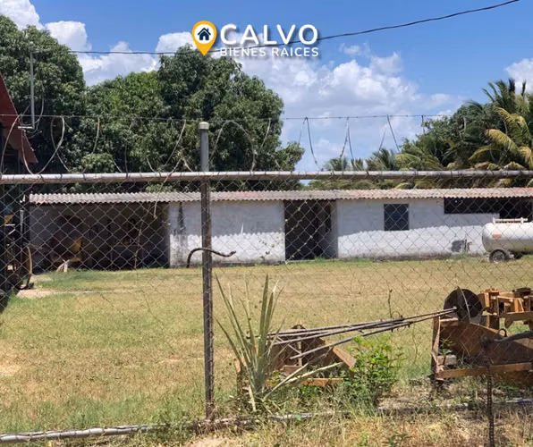 EN VENTA PRECIOSA PROPIEDAD AGRICOLA SAN LUIS TALPA, LA PAZ - Imagen 8